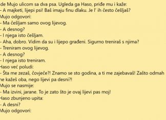 VIC DANA: Šeta Mujo i vodi dva psa