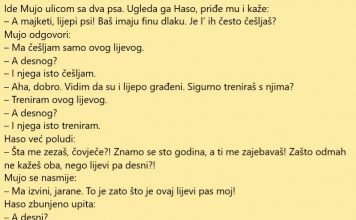 VIC DANA: Šeta Mujo i vodi dva psa