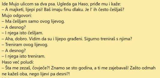 VIC DANA: Šeta Mujo i vodi dva psa