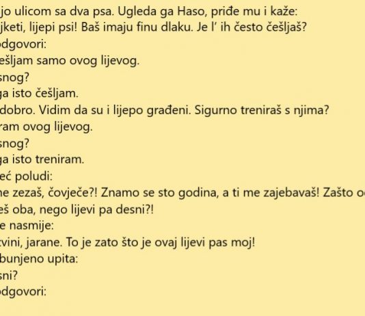 VIC DANA: Šeta Mujo i vodi dva psa