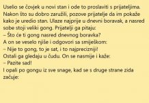 VIC DANA: Veliki gong
