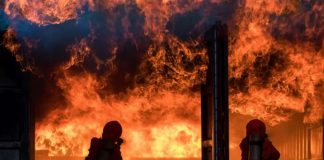 U požaru sekunde odlučuju: Vatrogasac otkriva kako reagovati ako se nađete u požarištu