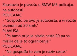 VIC DANA !!! PLAVUŠA NA AUTOCESTI VIC DANA !!! PLAVUŠA NA AUTOCESTI - featured image