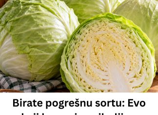 Birate pogrešnu sortu: Evo koji kupus je najbolji za kišeljenje, idealnih dimenzija i teksture Birate pogrešnu sortu: Evo koji kupus je najbolji za kišeljenje, idealnih dimenzija i teksture - featured image