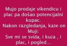 VIC DANA: PRODAJA VIKENDICE VIC DANA: PRODAJA VIKENDICE - featured image