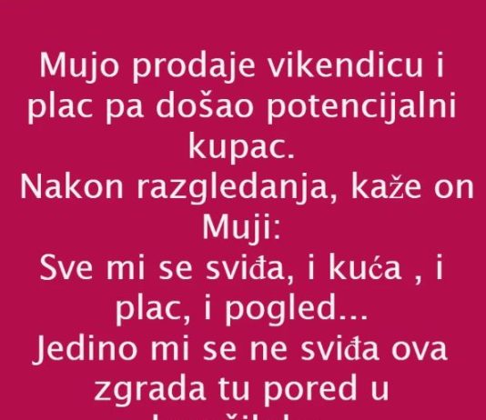 VIC DANA: PRODAJA VIKENDICE VIC DANA: PRODAJA VIKENDICE - featured image