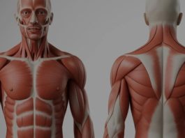 KINESKI BIOLOŠKI SAT BEZ GREŠKE POKAZUJE ŠTA NIJE UREDU U TIJELU:Evo kako da sami otkrijete koji vam organ ne radi dobro! KINESKI BIOLOŠKI SAT BEZ GREŠKE POKAZUJE ŠTA NIJE UREDU U TIJELU:Evo kako da sami otkrijete koji vam organ ne radi dobro! - featured image