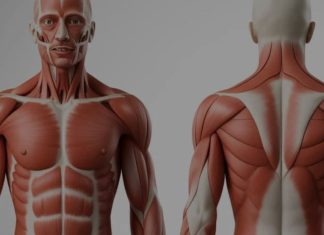 KINESKI BIOLOŠKI SAT BEZ GREŠKE POKAZUJE ŠTA NIJE UREDU U TIJELU:Evo kako da sami otkrijete koji vam organ ne radi dobro! KINESKI BIOLOŠKI SAT BEZ GREŠKE POKAZUJE ŠTA NIJE UREDU U TIJELU:Evo kako da sami otkrijete koji vam organ ne radi dobro! - featured image