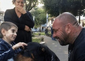 Dječak u invalidskim kolicima koji je zamolio za psa… i zauvijek promijenio dva slomljena života 😱💔 Dječak u invalidskim kolicima koji je zamolio za psa… i zauvijek promijenio dva slomljena života 😱💔 - featured image