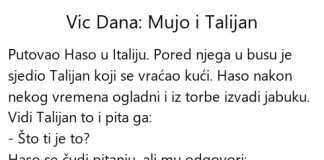 Vic dana: Mujo i Talijan Vic dana Mujo i Talijan