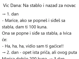 Vic dana: Na stablo i nazad za novac Vic dana Na stablo i nazad za novac