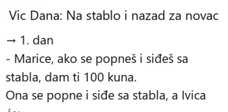 Vic dana: Na stablo i nazad za novac Vic dana Na stablo i nazad za novac