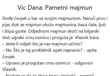 Vic dana: Pametni majmun Vic dana Pametni majmun
