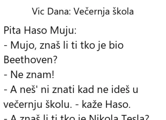 Vic dana: Večernja škola Vic dana Večernja škola