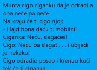 VIC DANA: Cigo i ciganka VIC DANA: Cigo i ciganka - featured image