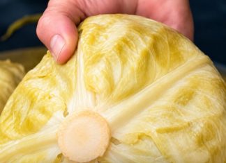Ako pogriješite datum, sve vam može propasti: Evo kada se tačno kiseli kupus ove godine Ako pogriješite datum, sve vam može propasti: Evo kada se tačno kiseli kupus ove godine - featured image